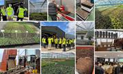 HTA publishes its own peat use data